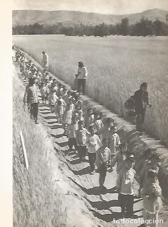 Postkarten: LAMINA 15462: Ni&ntilde;os en China - Varios