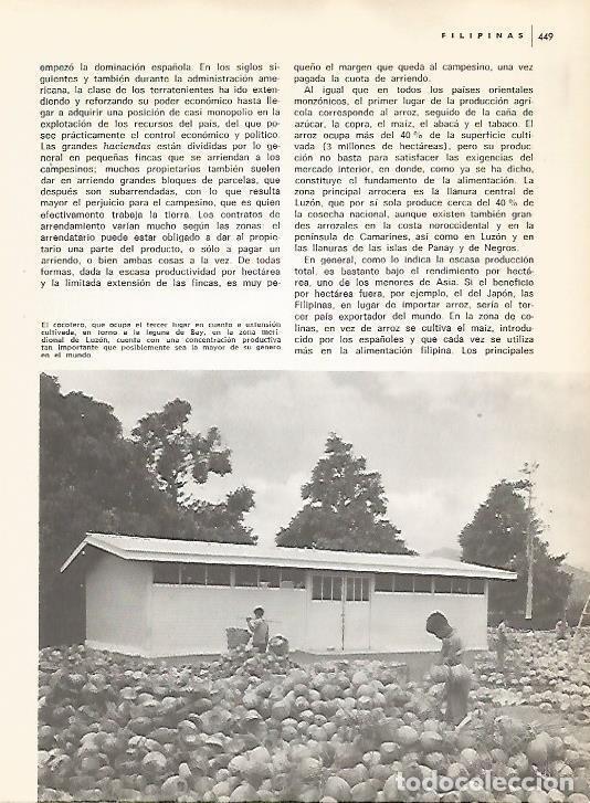 Postkarten: LAMINA 15523: Cocoteros en Luzon, Filipinas - Varios