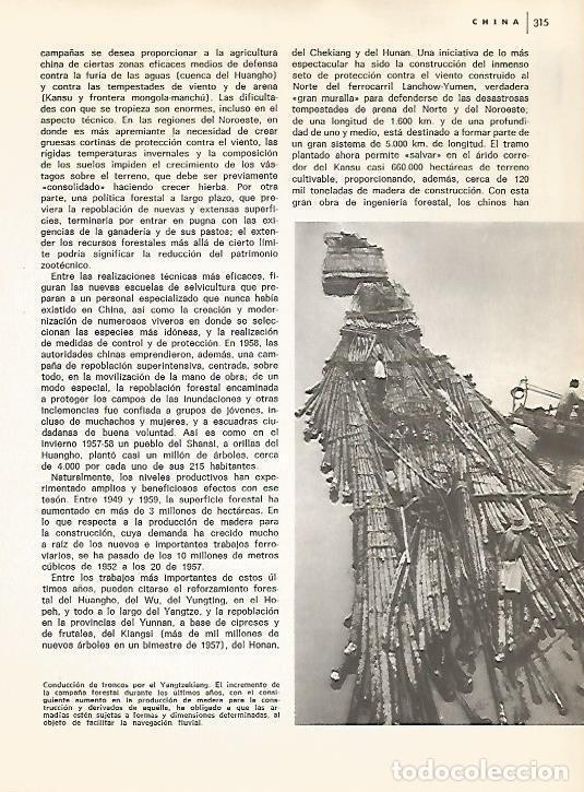 Postkarten: LAMINA 15450: Conduccion de troncos en China - Varios