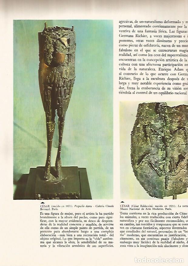 Postais: LAMINA 15977: Peque&ntilde;a Dama y La Tortuga, por Cesar - Varios