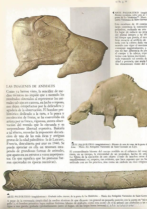 Postales: LAMINA 15821: Relieves paleoliticos de La Madeleine - Varios