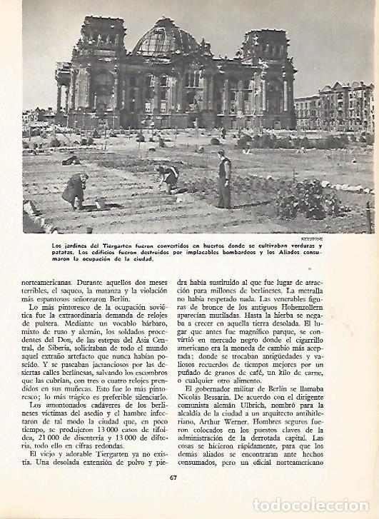 Cartes Postales: LAMINA 16113: Los jardines del Tiergarten como huertos - Varios