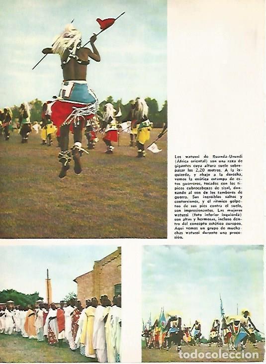 Cartes Postales: LAMINA 16144: Los Watussi de Ruanda - Varios