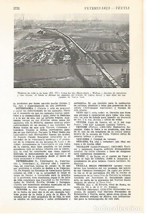 Cartes Postales: LAMINA VOX 16773: Viaducto en Nueva York - Varios