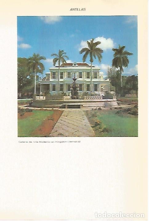 Cartoline: LAMINA VOX 16559: Galeria de Arte Moderno en Kingston, Jamaica - Varios