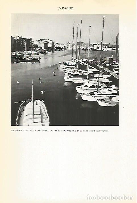 Postkarten: LAMINA VOX 16753: Puerto de Sete - Varios