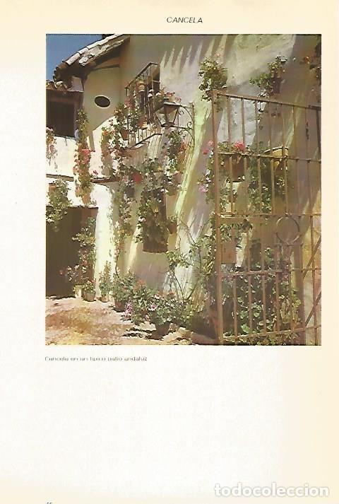 Postkarten: LAMINA VOX 16640: Patio de Andalucia - Varios