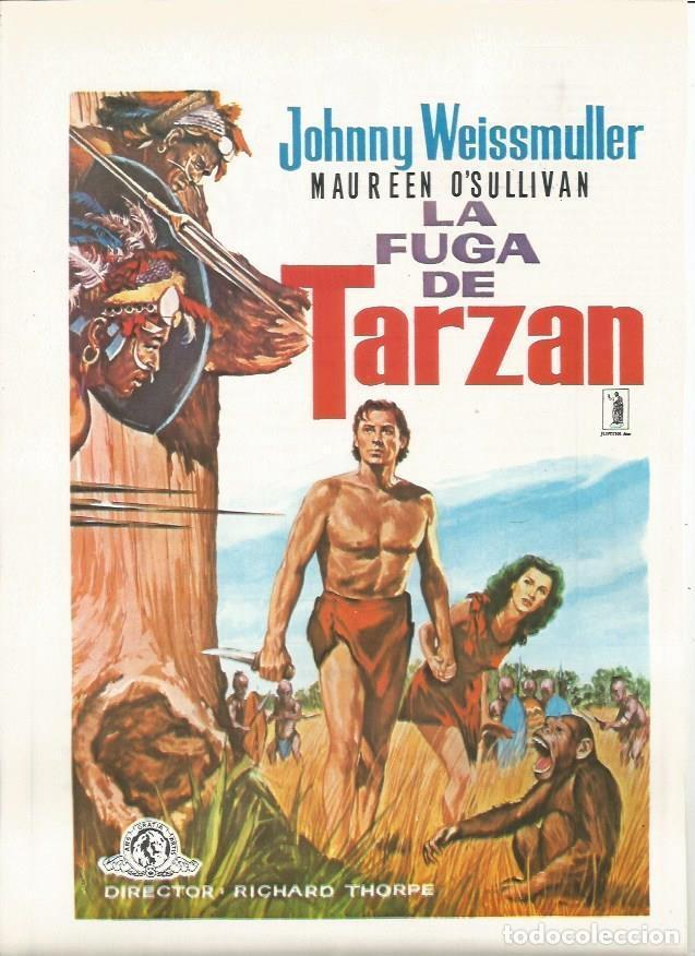 Cartoline: LAMINA 18867: La fuga de Tarzan - NULL