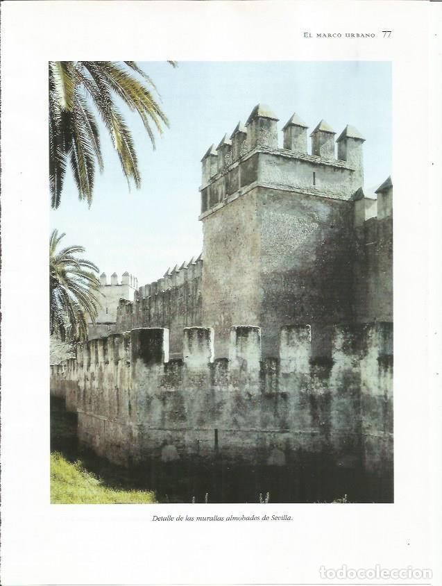 Cartes Postales: LAMINA 18716: Murallas almohades de Sevilla - M. Nu&ntilde;ez y T. Perez