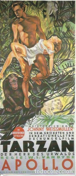 Postcards: LAMINA 18798: Tarzan - NULL