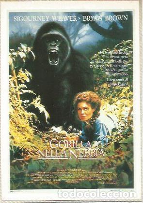 Cartes Postales: POSTAL A0923: Gorilla nella nebbia - NULL