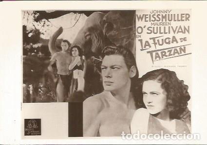 Postais: POSTAL A0844: La fuga de Tarzan