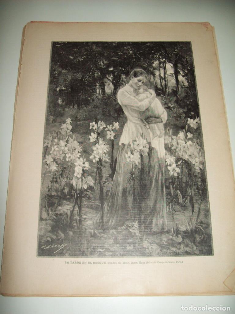 Postkarten: LAMINA ILUSTRACION ARTISTICA 19933: La tarde en el Bosque, por Dora Hetz - Varios