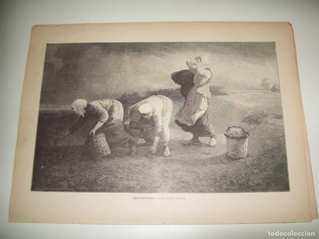 Postkarten: LAMINA ILUSTRACION ARTISTICA 19954: Espigaderas, por J. P. Beadle - Varios