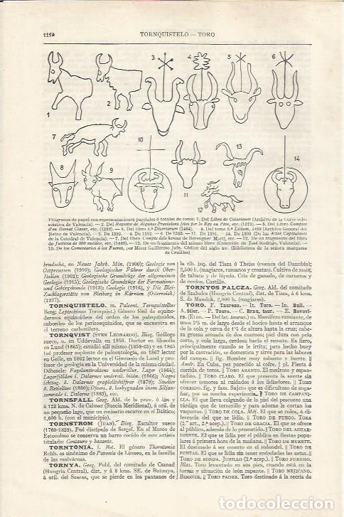 Cartoline: LAMINA ESPASA 35162: Filigranas de papel con forma de toro - Varios