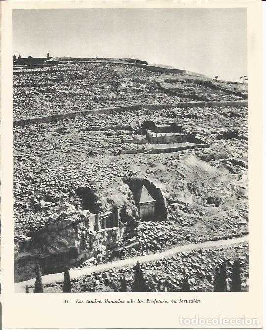 Cartoline: LAMINA 20857: Tumbas de los Profetas en Jerusalen - Maurice Crouzet