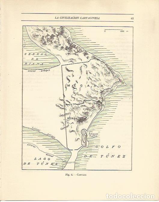 Cartoline: LAMINA 20816: Mapa de Cartago - Maurice Crouzet