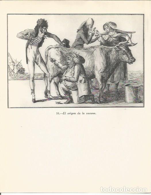 Cartes Postales: LAMINA 20776: El origen de la vacuna - Maurice Crouzet