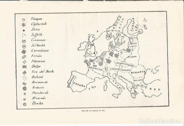 Postais: LAMINA ESPASA 35360: Mapa de Europa de caballos de tiro - Varios