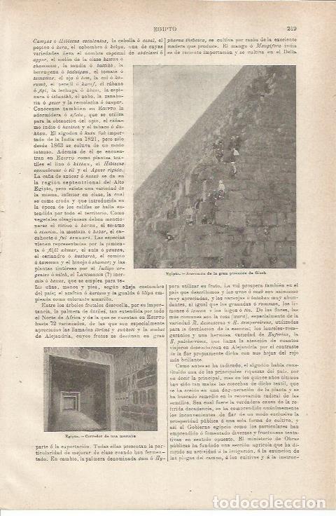 Postais: LAMINA ESPASA 35495: Detalle de la Piramide de Keops - Varios