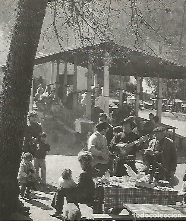 Postales: LAMINA 4392-75: Merendero de Las Planas, Barcelona - Josep Pla