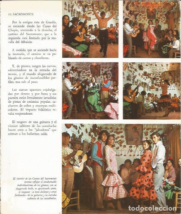 Cartes Postales: LAMINA 24921: Flamenco en las Cuevas del Sacromonte - VVAA