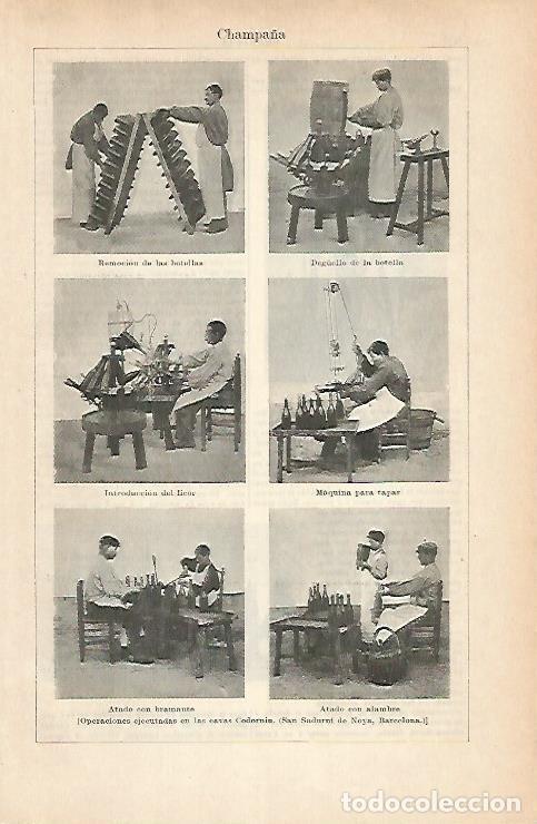 Postales: LAMINA ESPASA 14431: Operaciones ejecutadas en la casa Codorniu - Varios