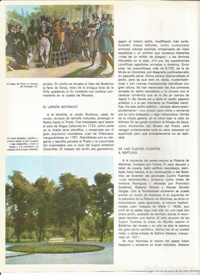 Postcards: LAMINA 20081: Jardin Botanico de Madrid - VVAA