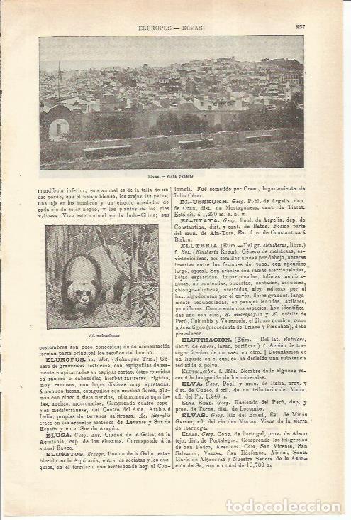 Postkarten: LAMINA ESPASA 35621: Vista de Elvas, Portugal - Varios