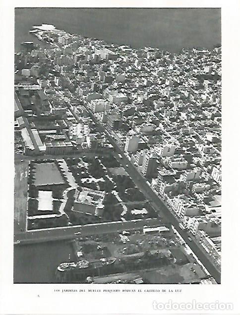 Cartes Postales: LAMINA 10218: Jardines del Muelle en Las Palmas - Claudio de la Torre