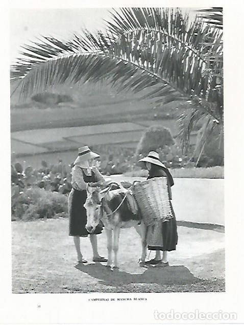 Cartes Postales: LAMINA 10400: Campesinas de Mancha Blanca - Claudio de la Torre