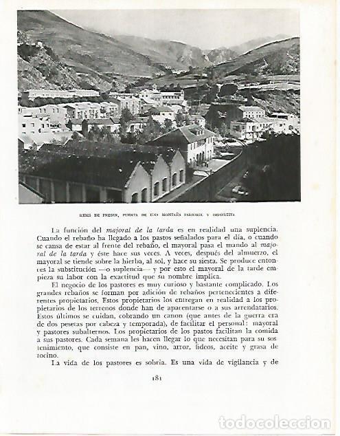 Cartes Postales: LAMINA 10511: Ribes de Freser - Josep Pla