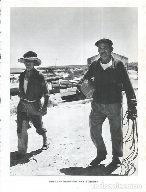 Postcards: LAMINA 21996: Pescadores de Tabarca - Joan Fuster