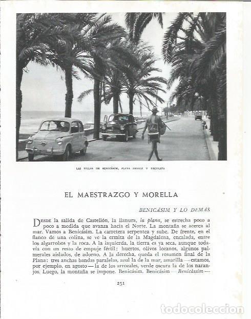 Cartoline: LAMINA 21885: Paseo en Benicasim - Joan Fuster