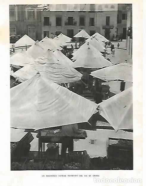 Postkarten: LAMINA 10789: Mercadillo en Lucena - Jose Maria Peman. Fotografias de Ramon Dimas