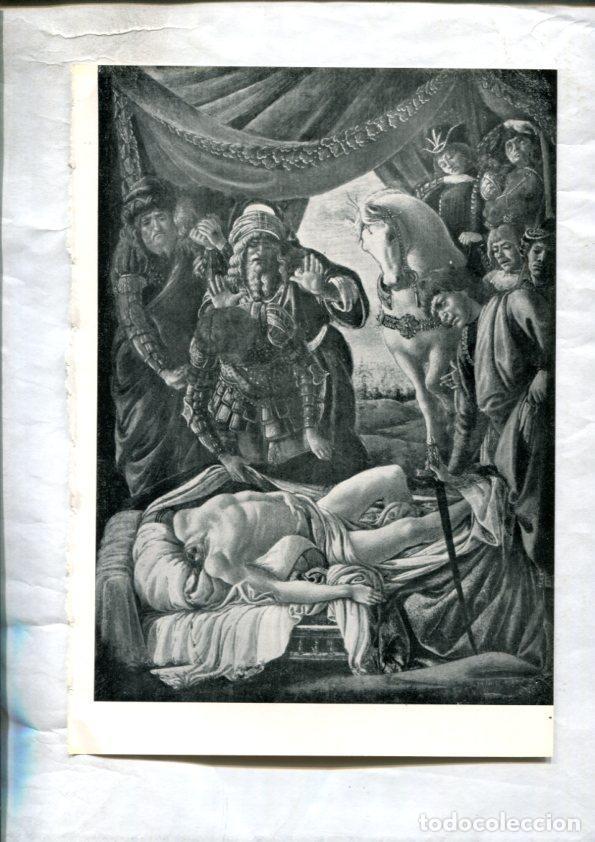 Postales: LEI racconti della vita di Maria: Lamina 20: Oloferne morto por Sandro Botticelli -