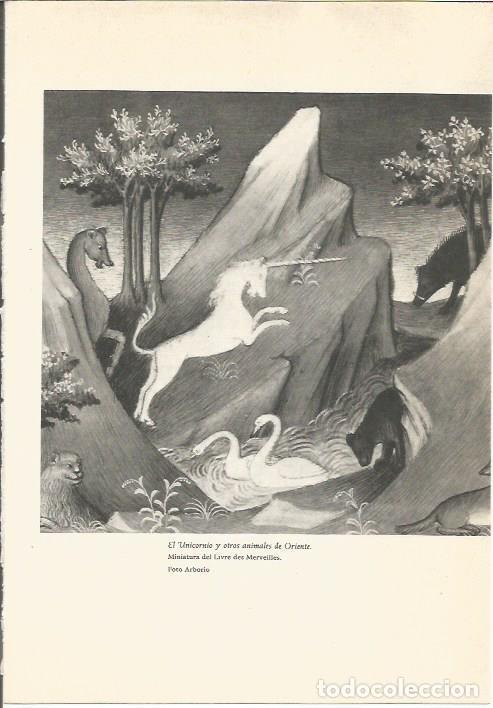 Cartes Postales: LAMINA 24719: El Unicornio, del Livre des Merveilles - Martin de Piquer