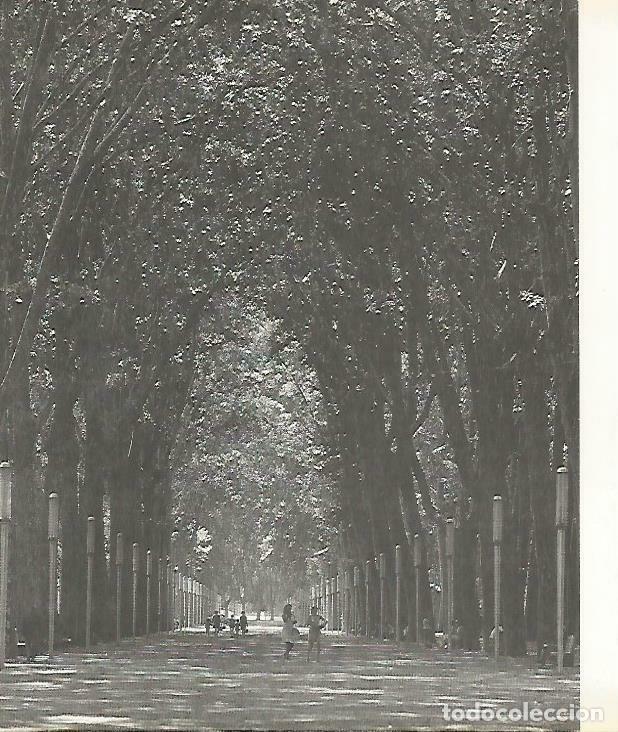 Postcards: LAMINA 4392-13: Devesa de Girona - Josep Pla
