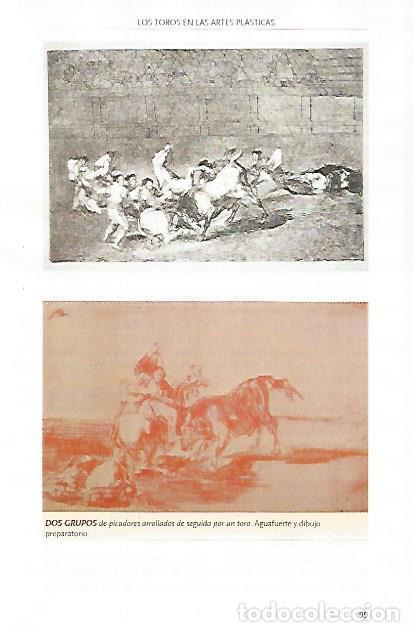 Postkarten: LAMINA COSSIO 51102: Dos grupos de picadores arrollados - Varios