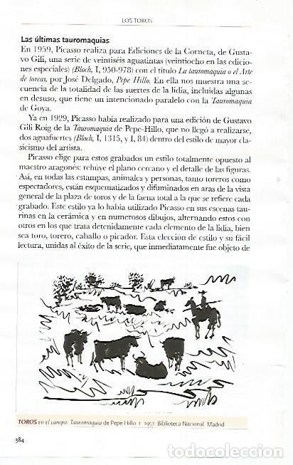 Cartoline: LAMINA COSSIO 51224: Toros en el campo de la Tauomaquia de Pepe-Hillo - Varios