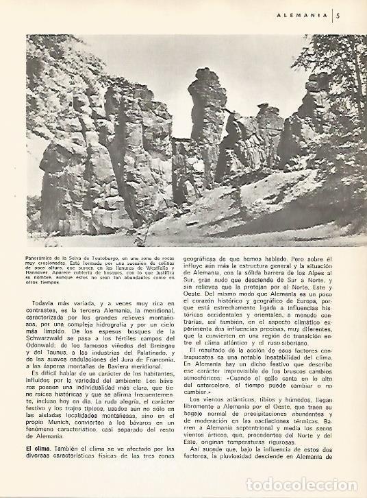 Cartes Postales: LAMINA 11028: Selva de Teutoburgo - Varios