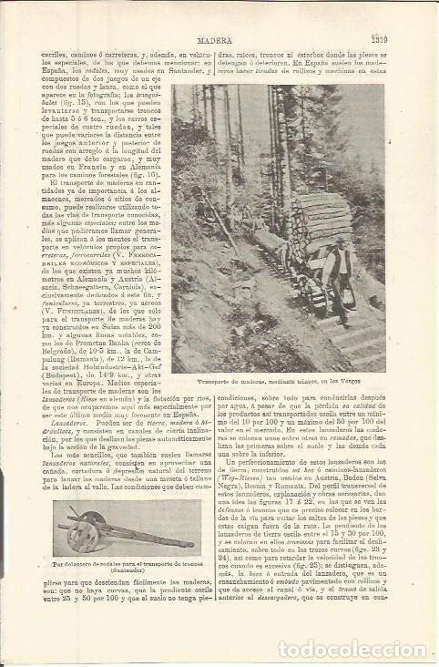 Postales: LAMINA ESPASA 36409: Transporte de madera en los Vongos - Varios
