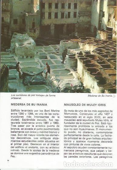 Postales: LAMINA 25300: Curtidores de piel en Fez - Youssef Ibn Tachfine