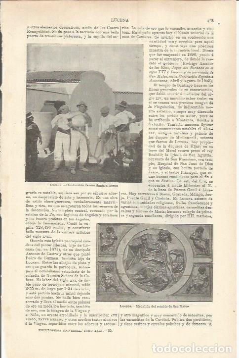 Cartoline: LAMINA ESPASA 37230: Conduccion de una tinaja al horno en Lucena, Sevilla - Varios