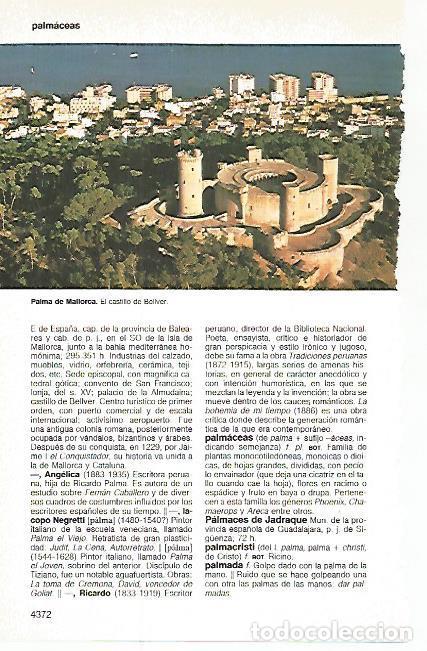 Cartoline: LAMINA 11302: Castillo de Bellver en Palma de Mallorca - Varios