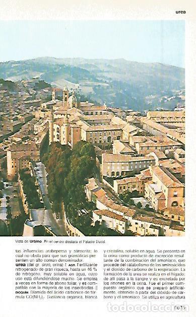Postkarten: LAMINA 11377: Urbino Italia - Varios