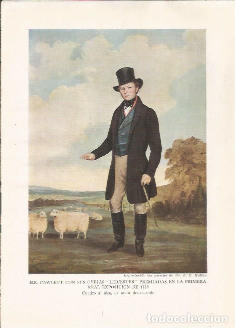 Cartoline: LAMINA 25491: Mr. Pawlett con sus ovejas premiadas en 1839, autor desconocido - Sir E. John Russell
