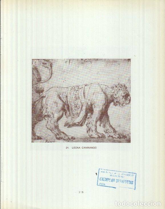 Cartoline: Dibujos de los siglos XVI y XVII: 24/25: Leona caminando + San Antonio y el ni&ntilde;o - Reyes Duran