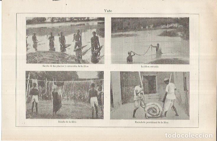 Cartoline: LAMINA ESPASA 36918: Preparacion de la fibra de yute - Varios