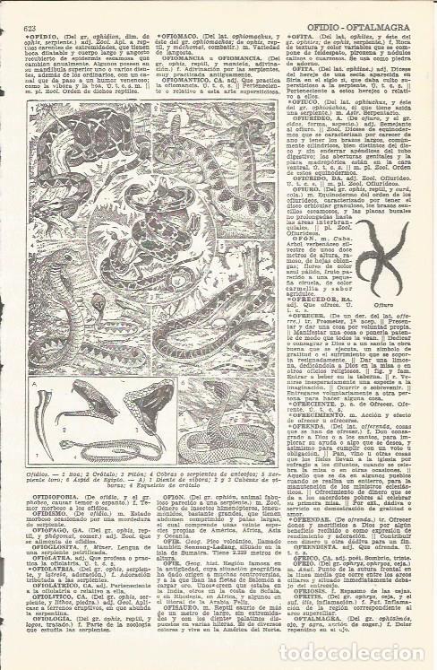 Cartoline: LAMINA 51718: Ofidios - VVAA